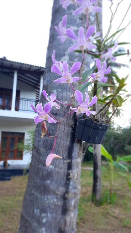 Mellow Villa Tangalle Bagian luar foto